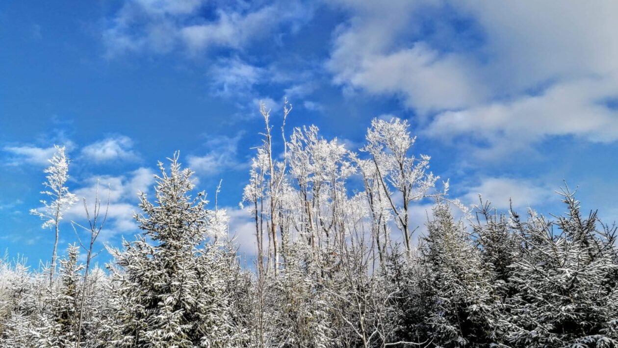 Prečo je klimatizácia nevyhnutnosťou počas letných horúčav?